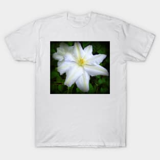 White Clematis T-Shirt